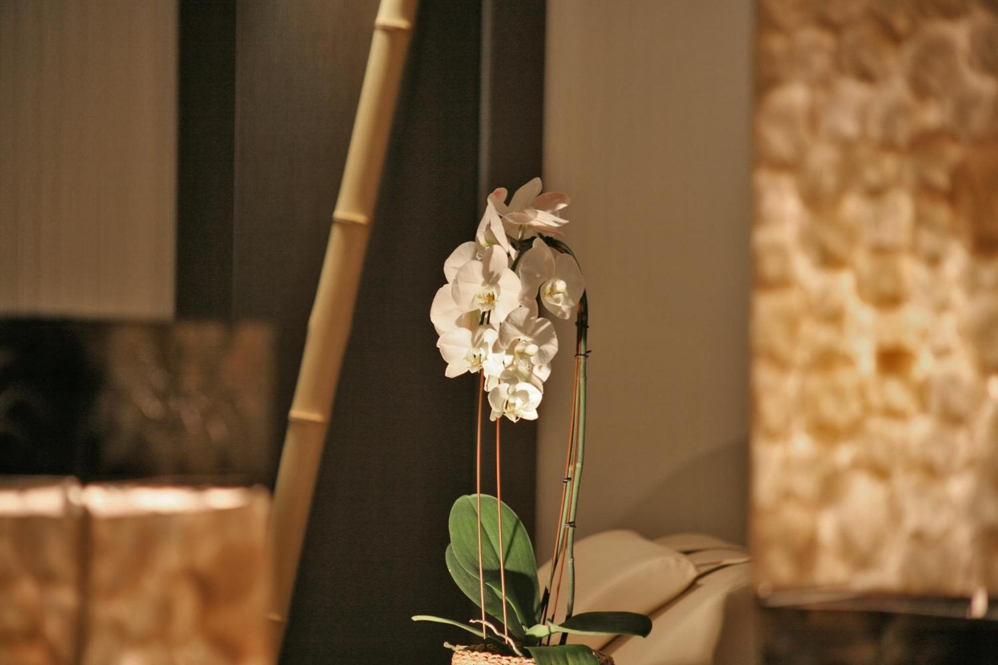 Hotel & Spa Waldecker Hof Виллинген Экстерьер фото